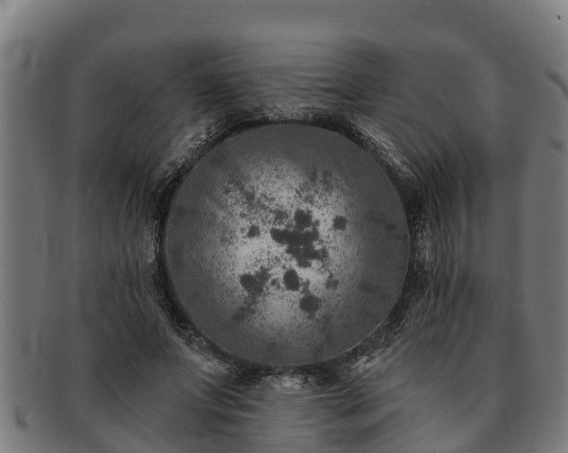 X0000091720687200708311139