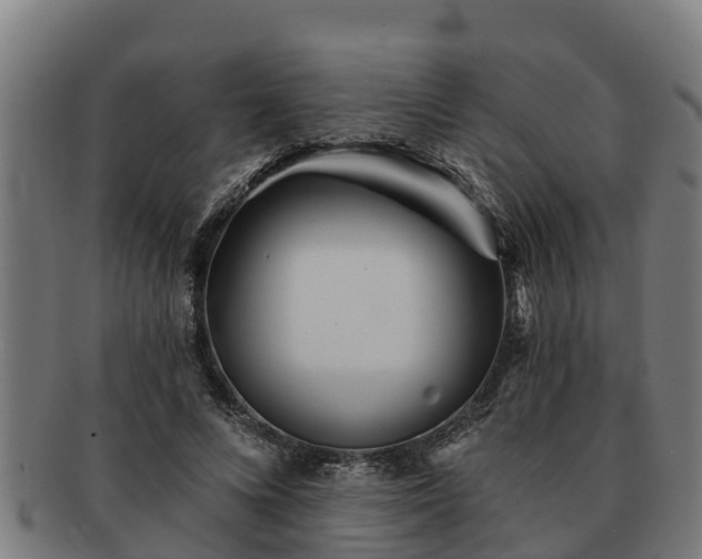 X0000091720688200708311139