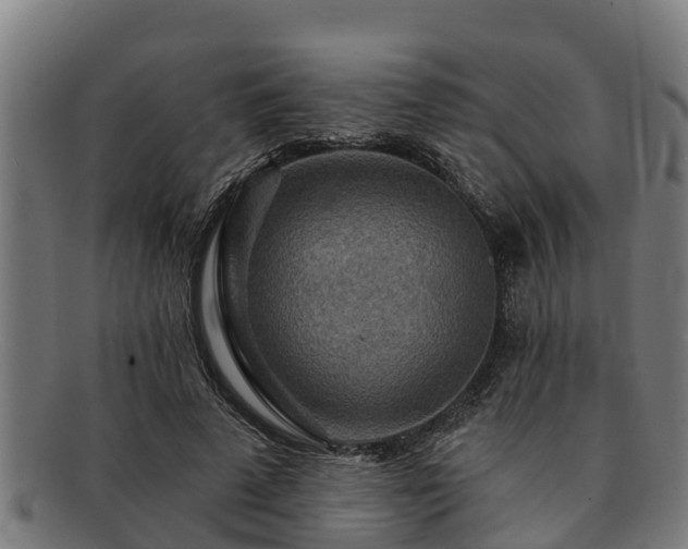 X0000091720689200708311139