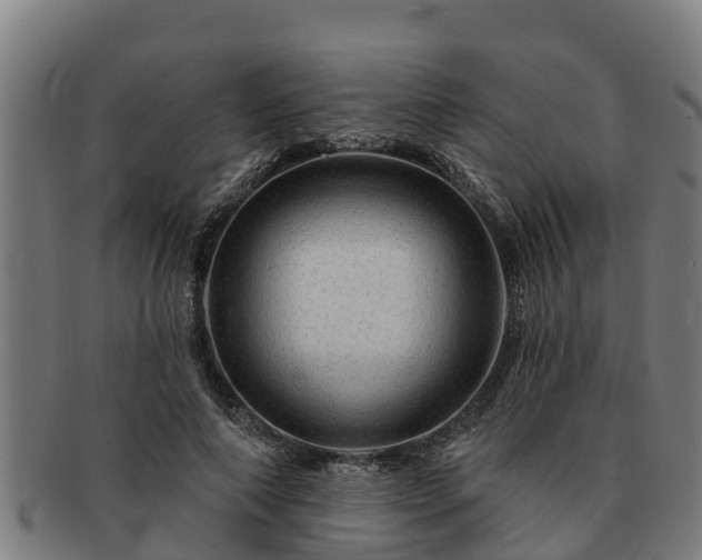 X0000091720690200708311139