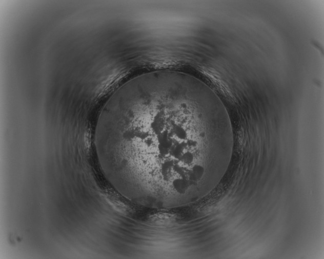 X0000091720691200708311139