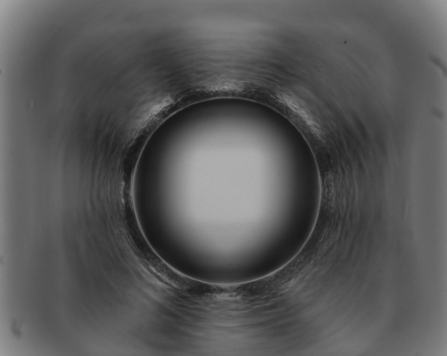 X0000091720692200708311139