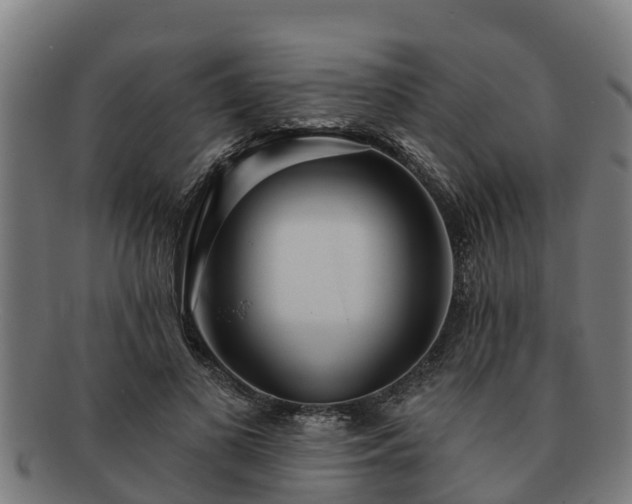 X0000091720693200708311139