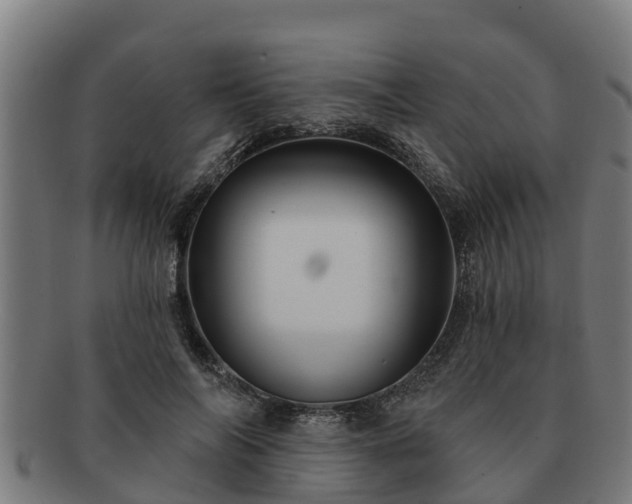 X0000091720694200708311139