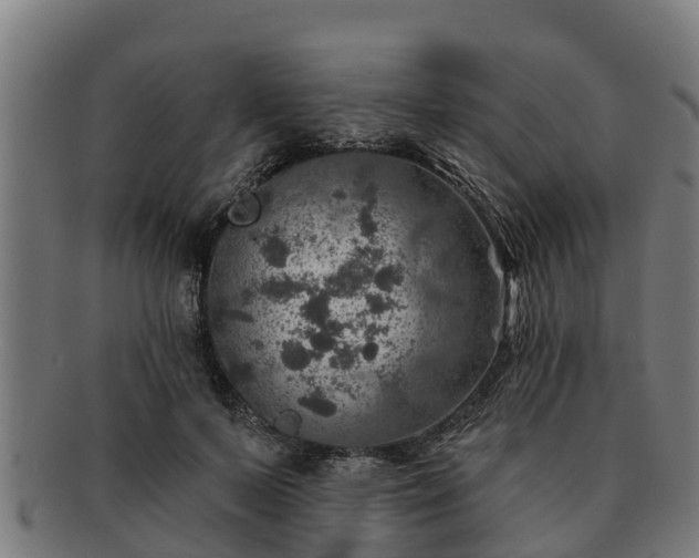 X0000091720695200708311139