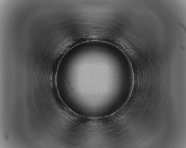 X0000091720696200708311139