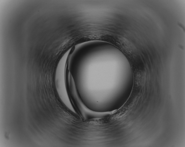 X0000091720697200708311139