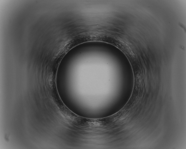 X0000091720698200708311139