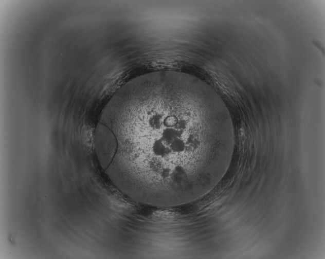 X0000091720699200708311139