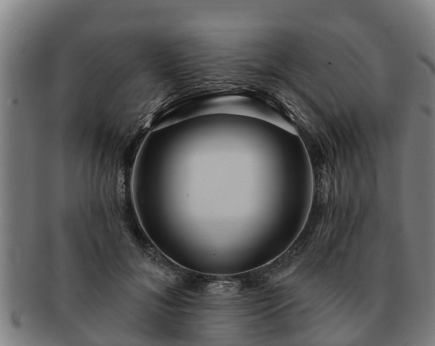 X0000091720700200708311139