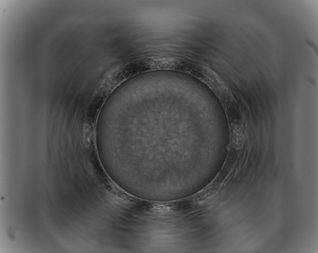 X0000091720701200708311139