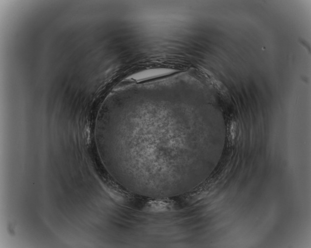 X0000091720703200708311139