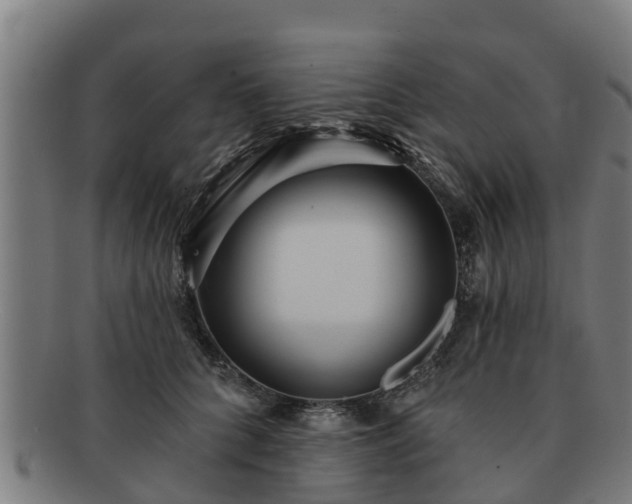 X0000091720704200708311139