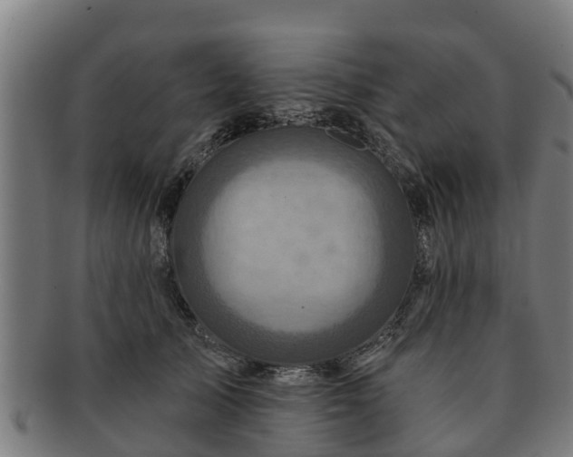 X0000091720705200708311139