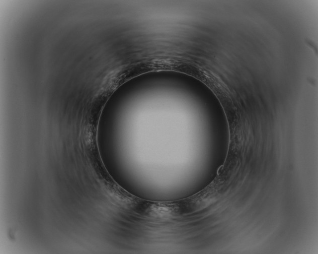 X0000091720706200708311139