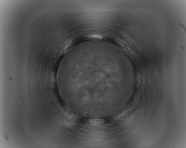 X0000091720707200708311139