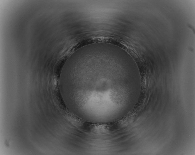 X0000091720709200708311138