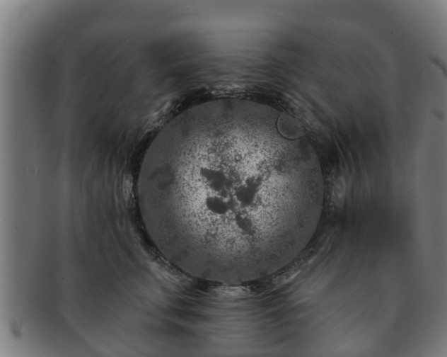 X0000091720711200708311138