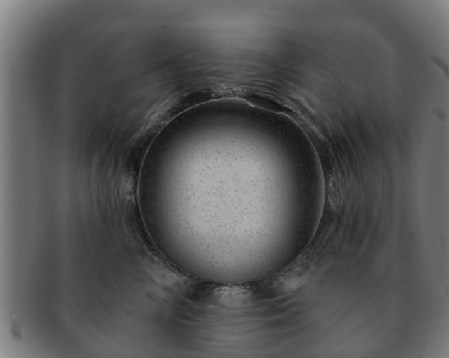 X0000091720714200708311138