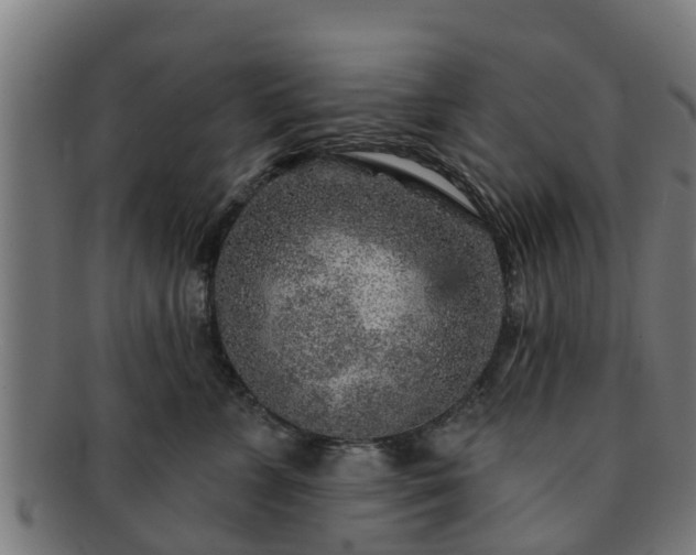 X0000091720715200708311138