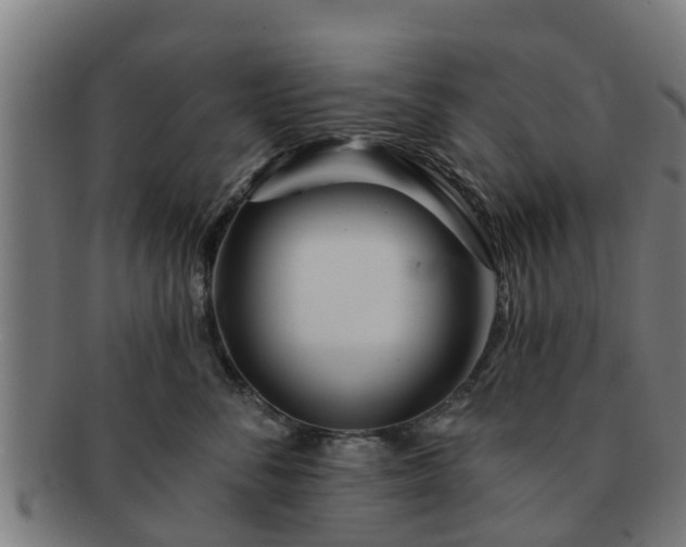 X0000091720716200708311138