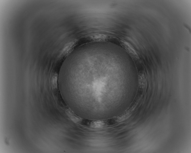 X0000091720717200708311138