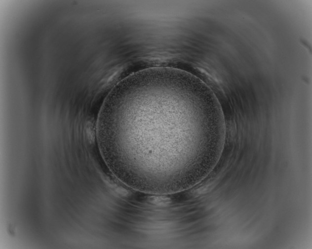 X0000091720719200708311138