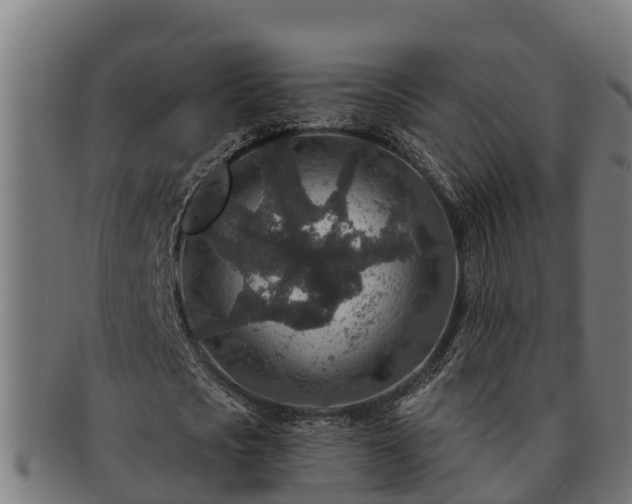 X0000091720721200708311138