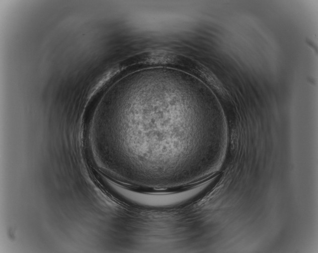 X0000091720722200708311138