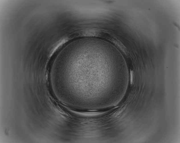 X0000091720723200708311138