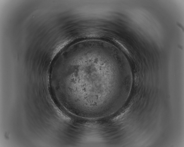 X0000091720725200708311138