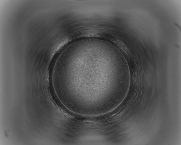 X0000091720727200708311138