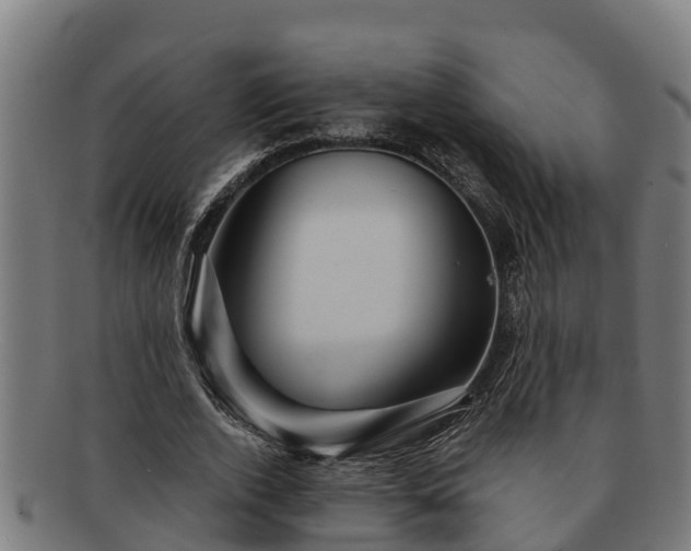 X0000091720728200708311138