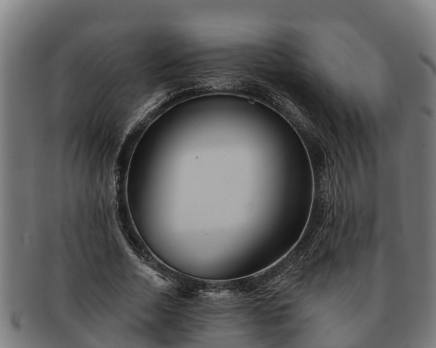 X0000091720730200708311138