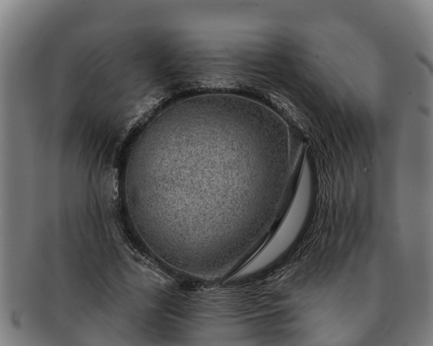 X0000091720731200708311138