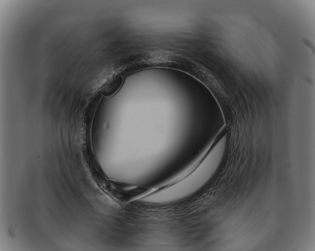 X0000091720732200708311138