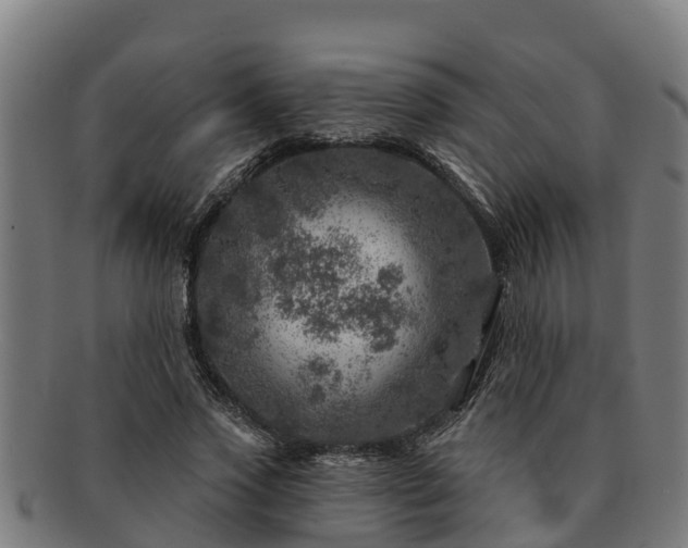 X0000091720733200708311138