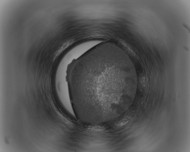 X0000091720734200708311138