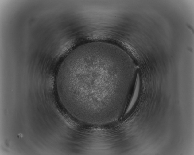 X0000091720735200708311138