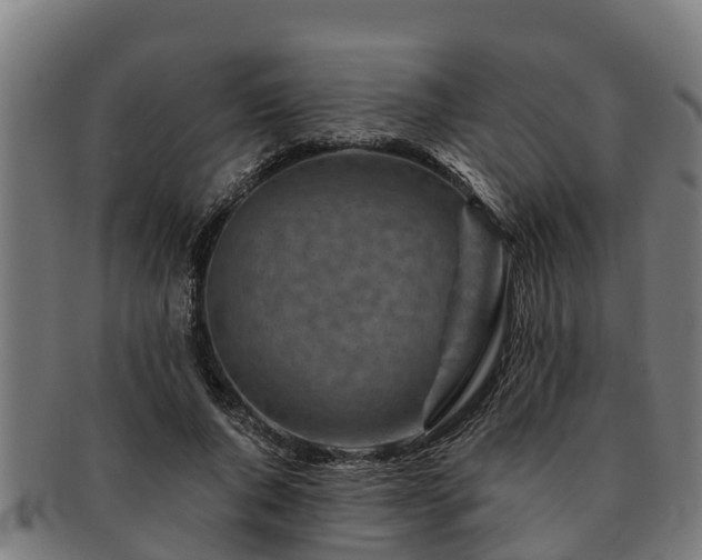 X0000091720736200708311138