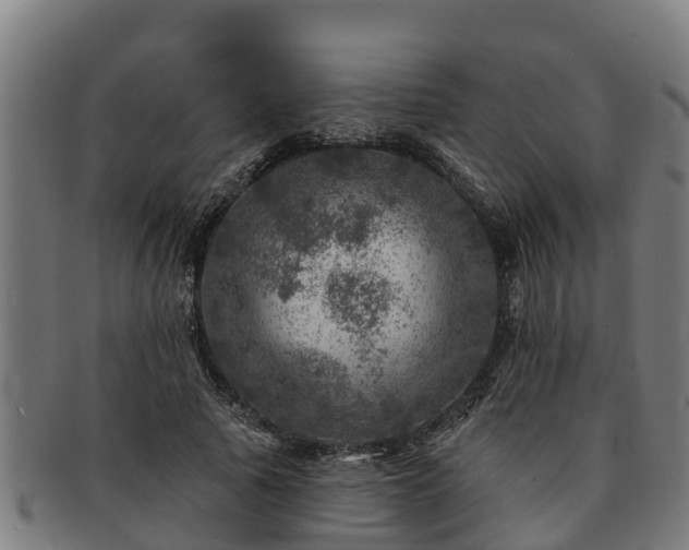 X0000091720737200708311138