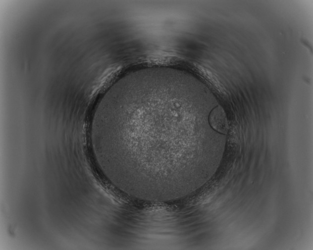 X0000091720738200708311138