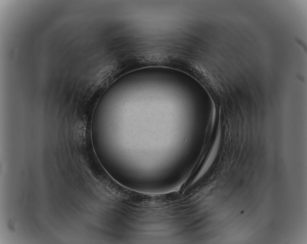 X0000091720739200708311138