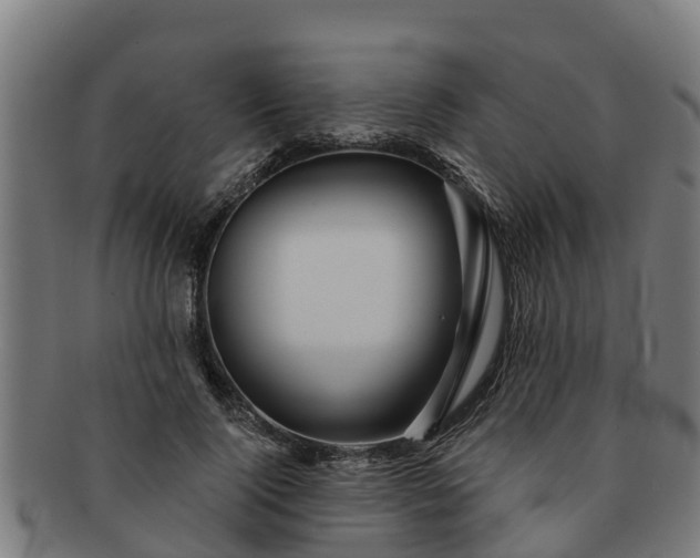 X0000091720740200708311138