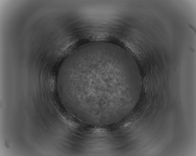 X0000091720741200708311138