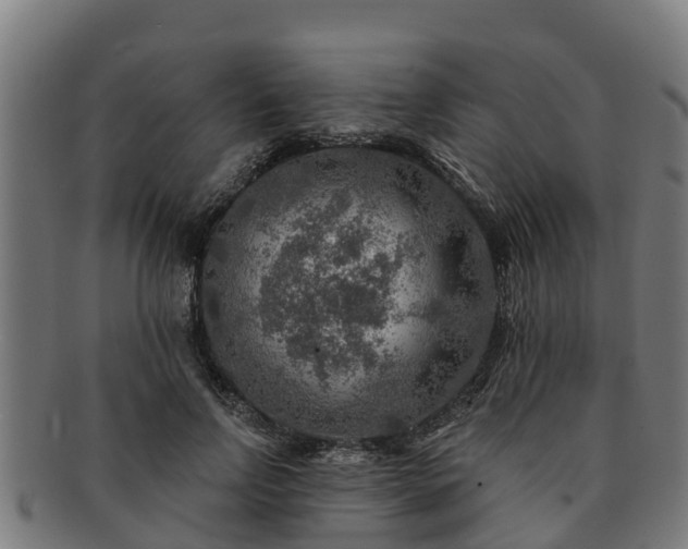 X0000091720742200708311138