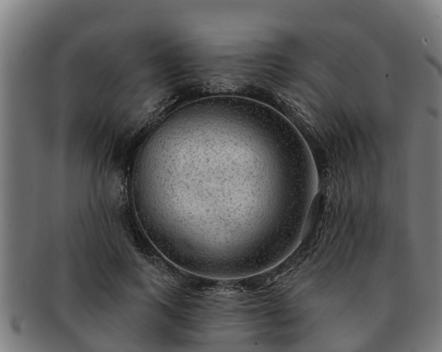 X0000091720743200708311138