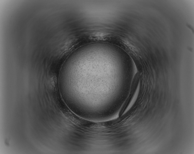 X0000091720747200708311138