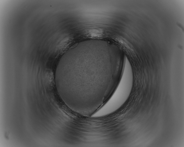 X0000091720748200708311138