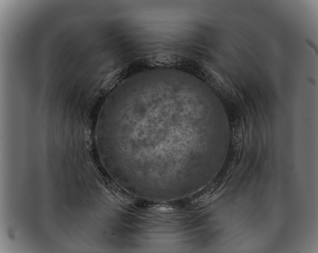 X0000091720749200708311138